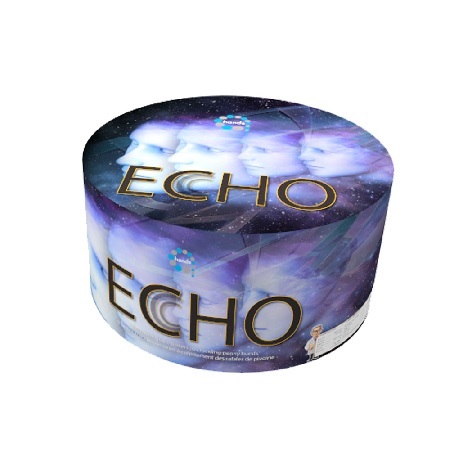 Echo